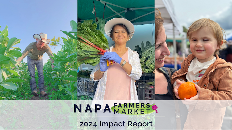 2024 Impact Report Cover